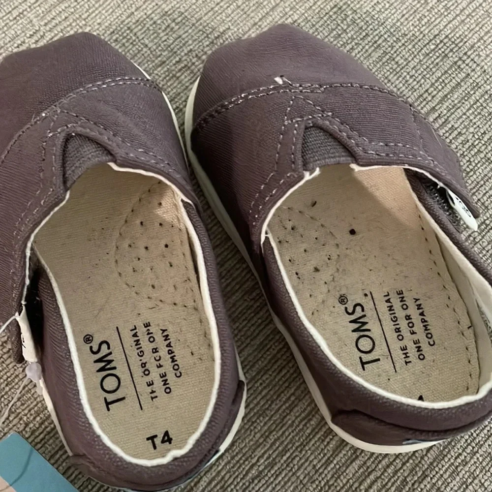 Toms Tiny Belmont Ash Canvas NEW